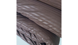 Постільна білизна Мікрофібра Коричнева страйп ГОТЕЛЬ MERISET